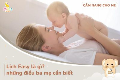 Lịch Easy là gì?