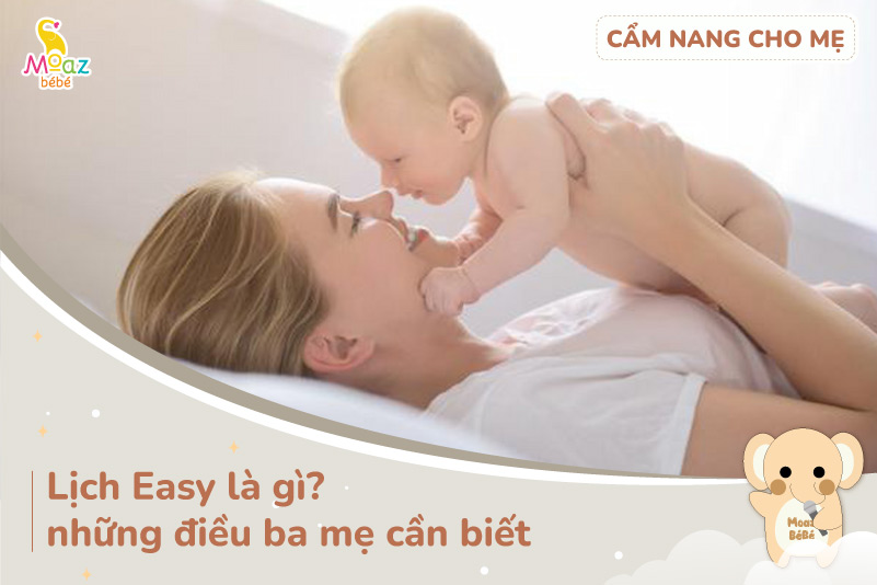 Lịch Easy là gì?