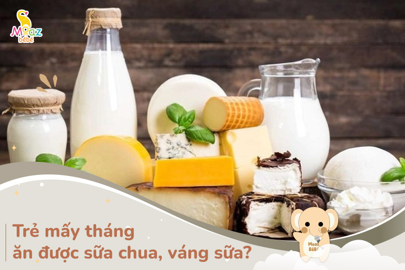 Trẻ mấy tháng ăn được sữa chua váng sữa và phô mai