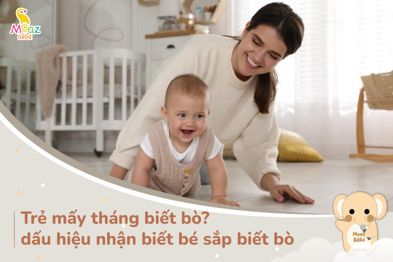 Trẻ được mấy tháng thì biết bò?