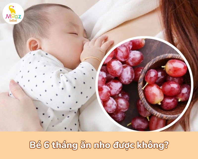 Bé 6 tháng ăn nho được không?