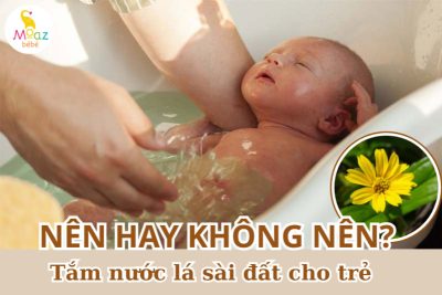 Có nên tắm cây sài đất cho trẻ không?