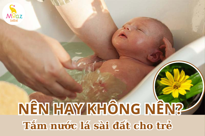 Có nên tắm cây sài đất cho trẻ không?