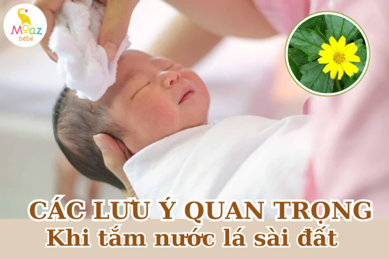 lưu ý khi tắm cây sài đất cho trẻ