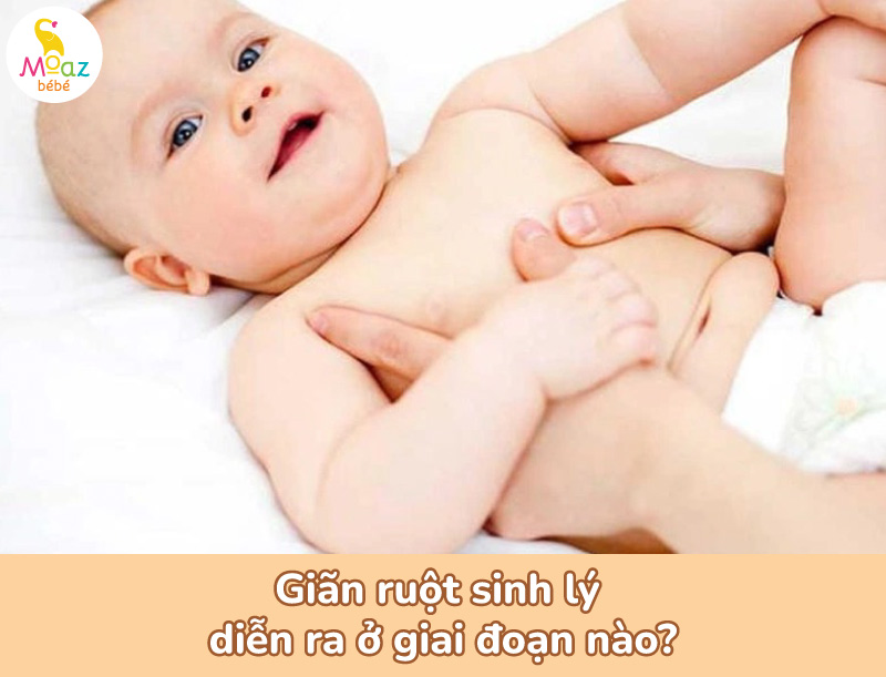 Giãn ruột sinh lý  diễn ra ở giai đoạn nào?