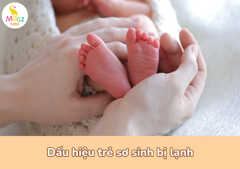 Dấu hiệu trẻ sơ sinh đang bị lạnh