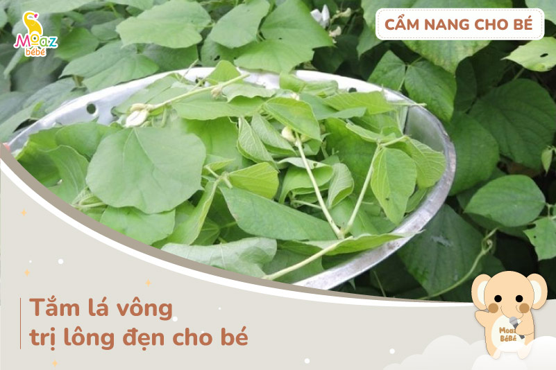 Cách trị lông đẹn an toàn, hiệu quả