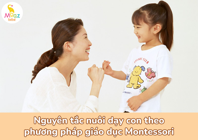 Nguyên tắc nuôi dạy con theo phương pháp giáo dục Montessori