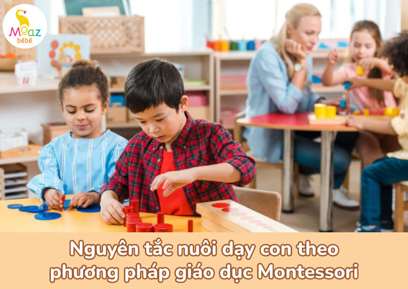 Nguyên tắc nuôi dạy con theo phương pháp giáo dục Montessori