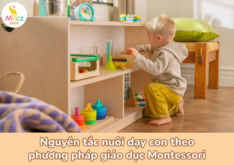 Nguyên tắc nuôi dạy con theo phương pháp giáo dục Montessori