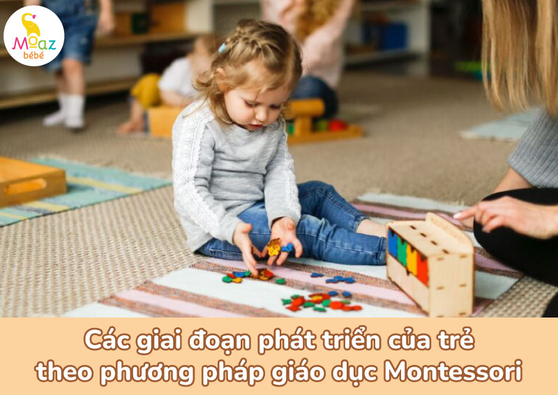 Các giai đoạn phát triển của trẻ theo phương pháp giáo dục Montessori