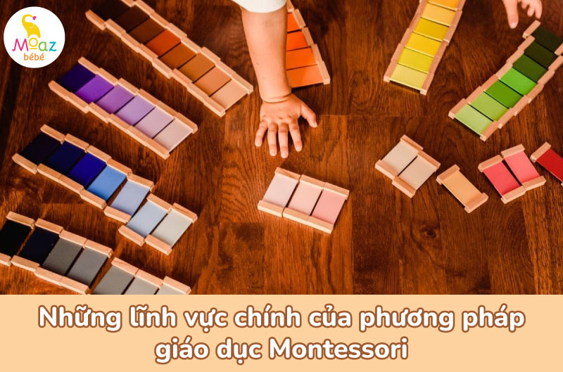 lĩnh vực chính của phương pháp Montessori