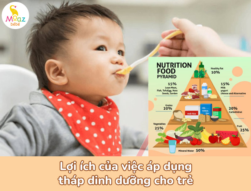 Lợi ích của việc áp dụng tháp dinh dưỡng