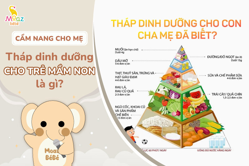 Tháp dinh dưỡng cho trẻ mầm non là gì?