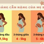 Mức tăng cân của mẹ bầu theo từng giai đoạn thai kỳ