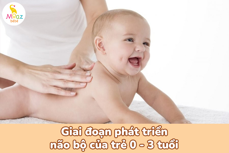 Những giai đoạn vàng phát triển não bộ của trẻ