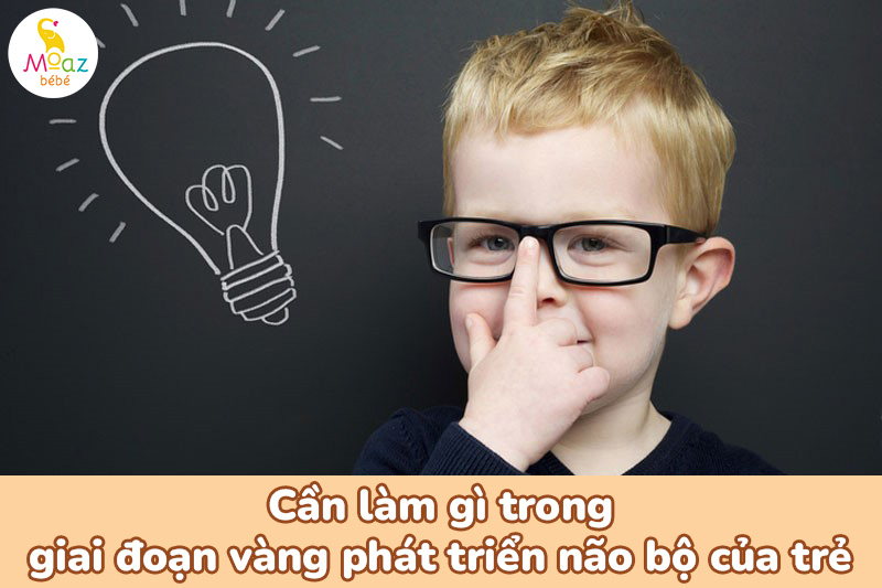 Cần làm gì trong giai đoạn vàng phát triển não bộ của trẻ