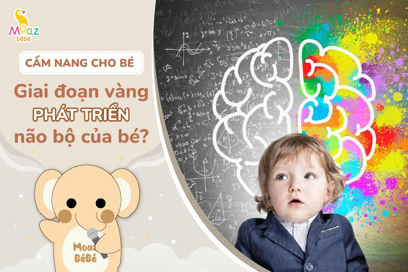 giai đoạn vàng phát triển não bộ của trẻ