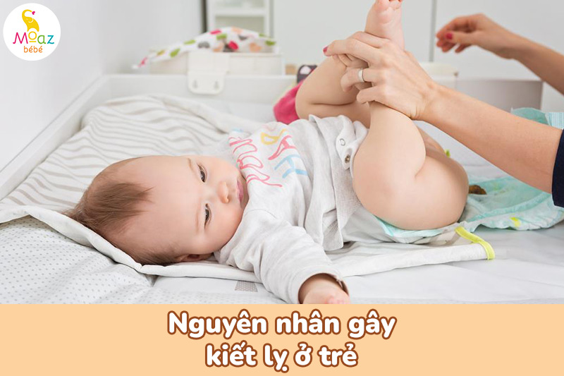 nguyên nhân gây bệnh kiết lỵ ở trẻ em