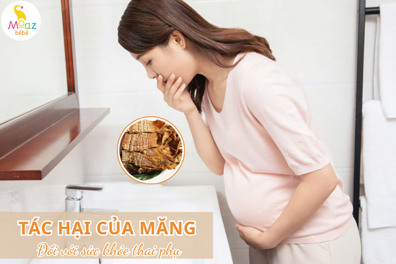 Tác hại của măng đối với sức khỏe thai phụ