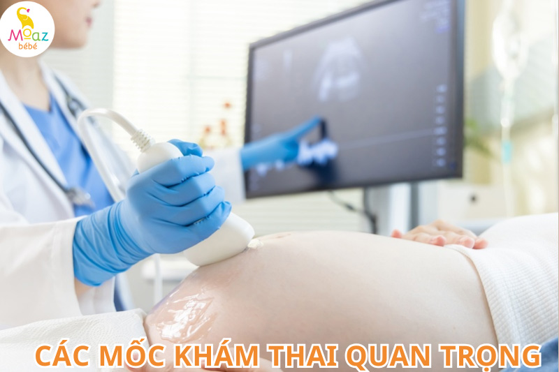 Các mốc khám thai quan trọng