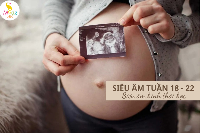 Lịch siêu âm thai định kỳ