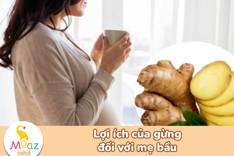 Lợi ích của gừng đối với mẹ bầu