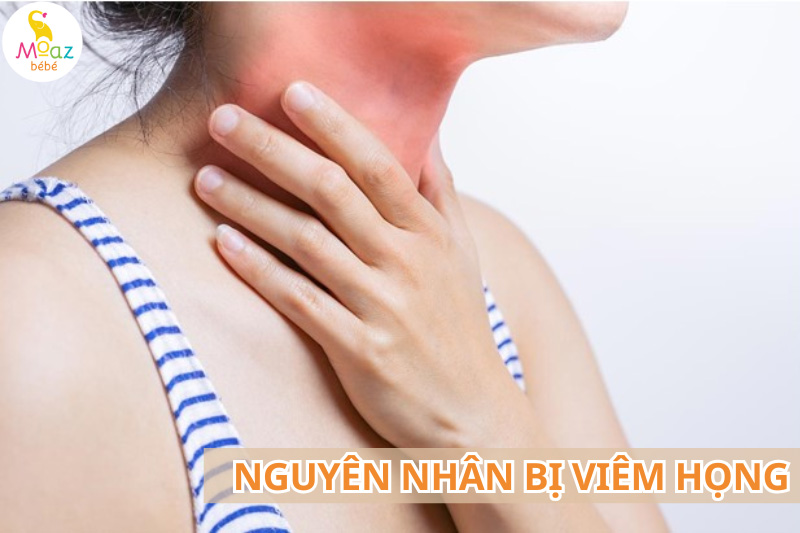 Nguyên nhân mẹ bầu bị viêm họng