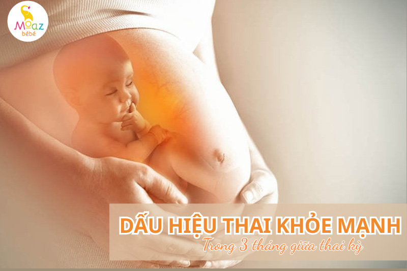dấu hiệu thai khỏe mạnh trong 3 tháng giữa