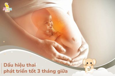 Dấu hiệu thai phát triển tốt 3 tháng giữa