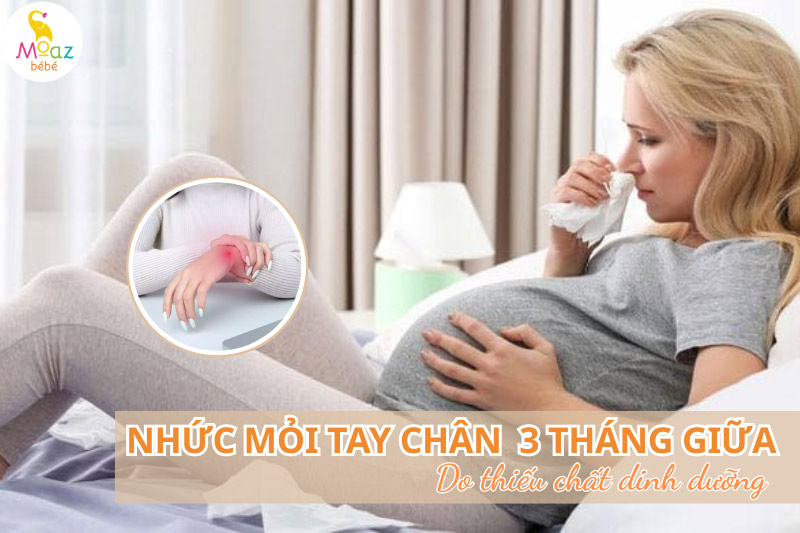 thiếu chất dinh dưỡng gây nhức mỏi tay chân