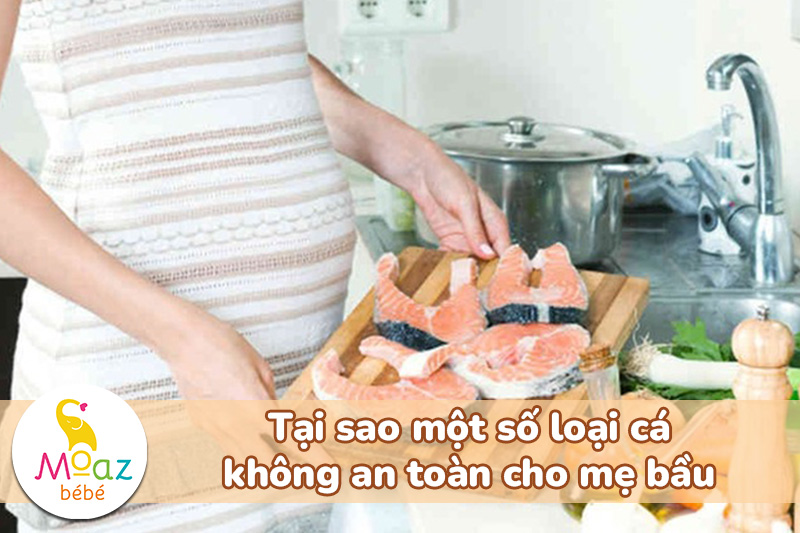 Tại sao một số loại cá không an toàn cho bà bầu?