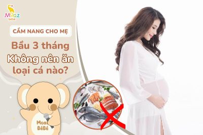 những loại cá bà bầu 3 tháng đầu không nên ăn