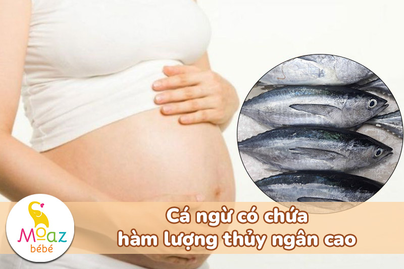 Cá ngừ có chứa hàm lượng thủy ngân cao