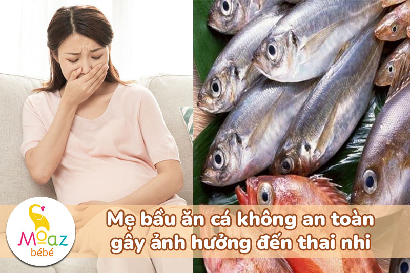 Mẹ bầu ăn cá không an toàn gây ảnh hưởng đến thai nhi