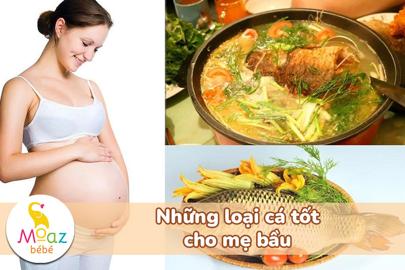 Những loại cá tốt cho mẹ bầu