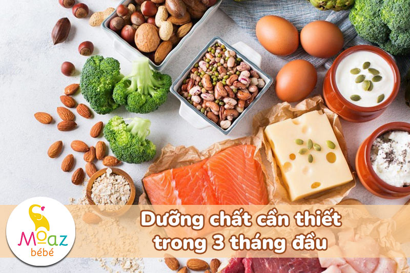 dưỡng chất cần thiết trong 3 tháng đầu
