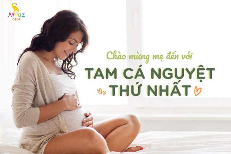 sự hình thành thai nhi trong tam cá nguyệt thứ nhất