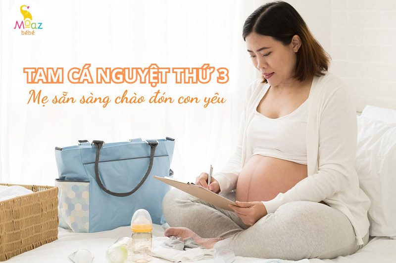 sự hình thành thai nhi trong tam cá nguyệt thứ ba