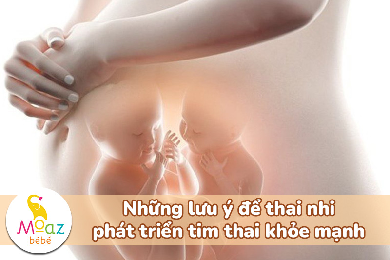 Những lưu ý để thai nhi phát triển tim thai khỏe mạnh
