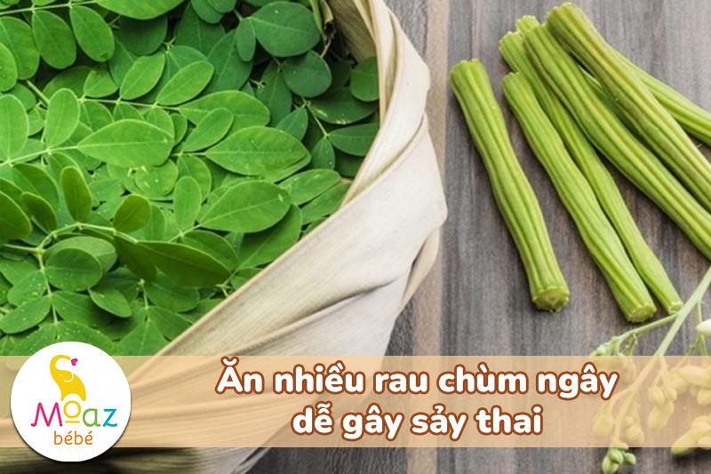 Ăn nhiều rau chùm ngây dễ gây sảy thai
