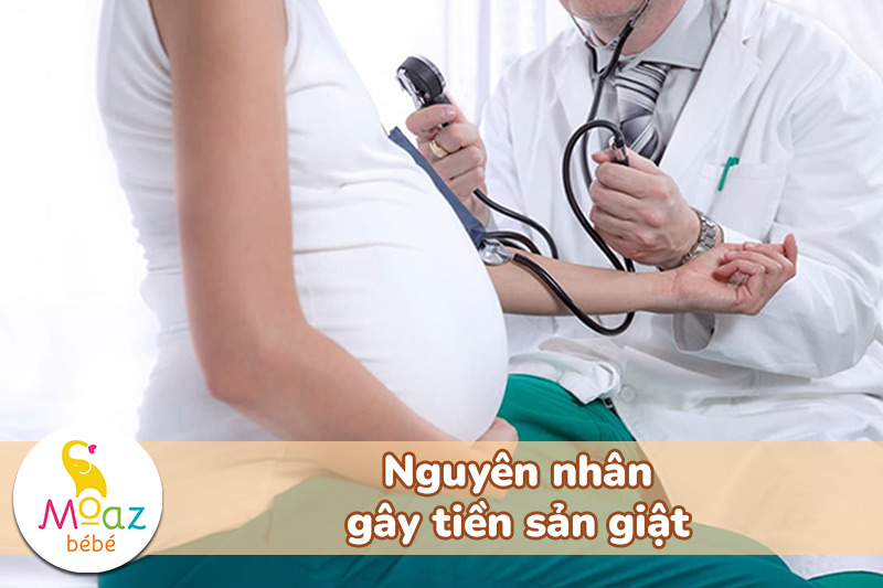 Nguyên nhân gây tiền sản giật