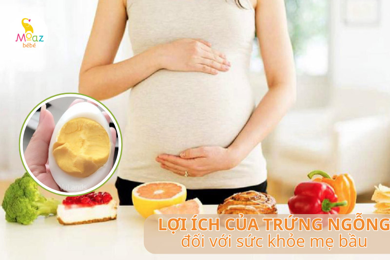 Bà bầu ăn trứng ngỗng có tác dụng gì?