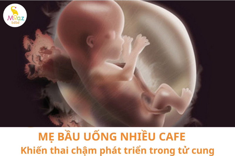 bầu uống cafe khiến thai nhi chậm phát triển