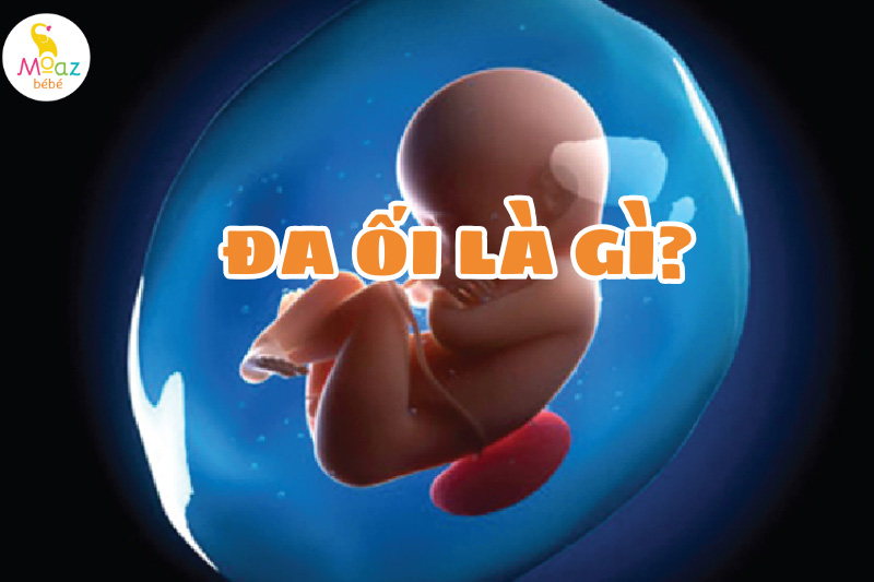 đa ối là như thế nào