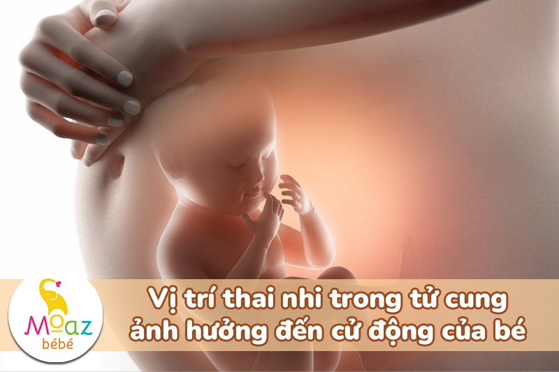 Vị trí thai nhi trong tử cung ảnh hưởng đến cử động của bé