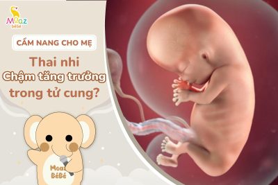 thai nhi chậm tăng trưởng trong tử cung là gì