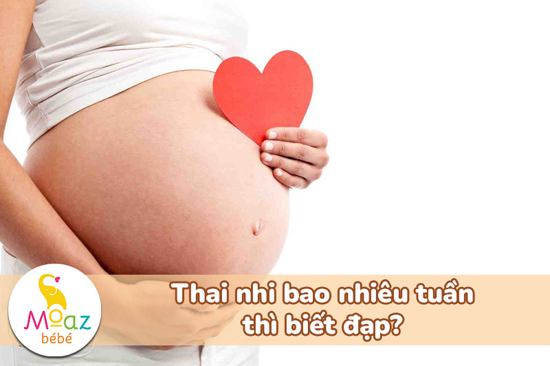 Thai nhi bao nhiêu tuần thì biết đạp?