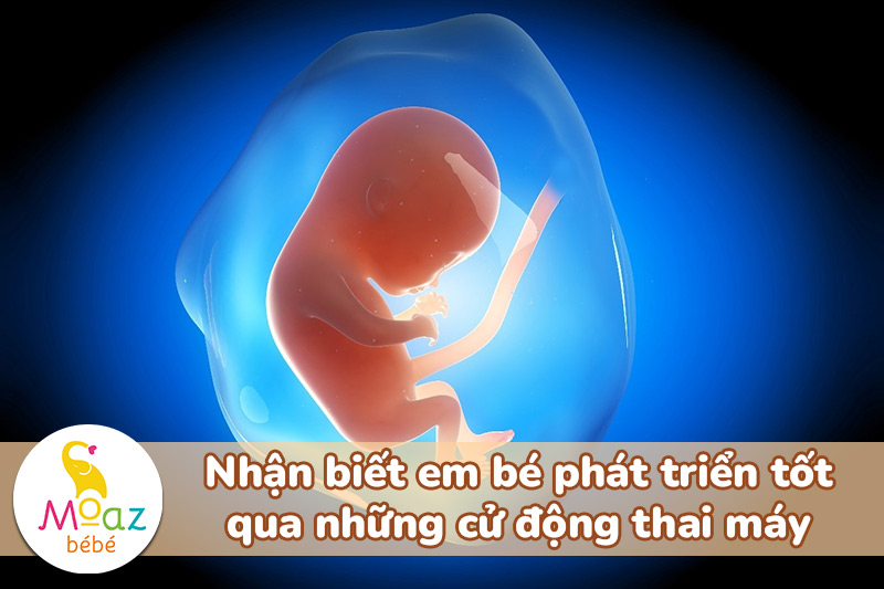 Nhận biết em bé phát triển tốt qua những cử động thai máy