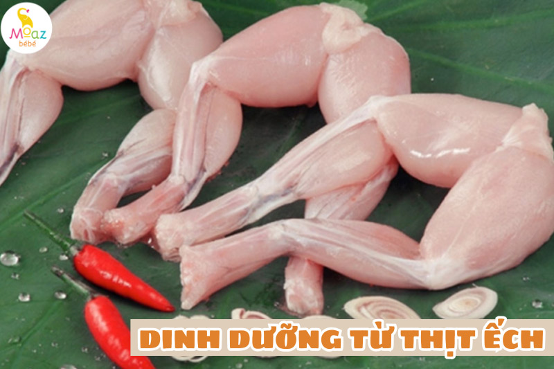Dinh dưỡng có trong thịt ếch